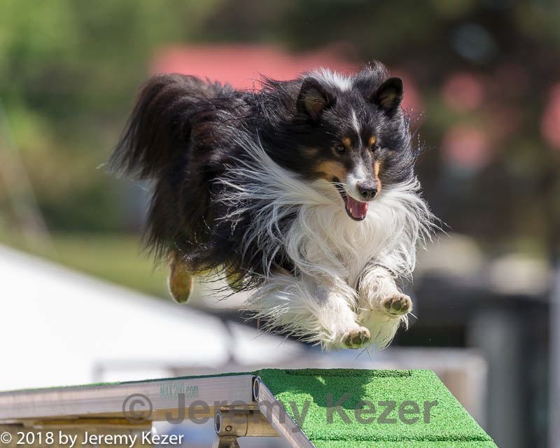 20180617-1379.jpg