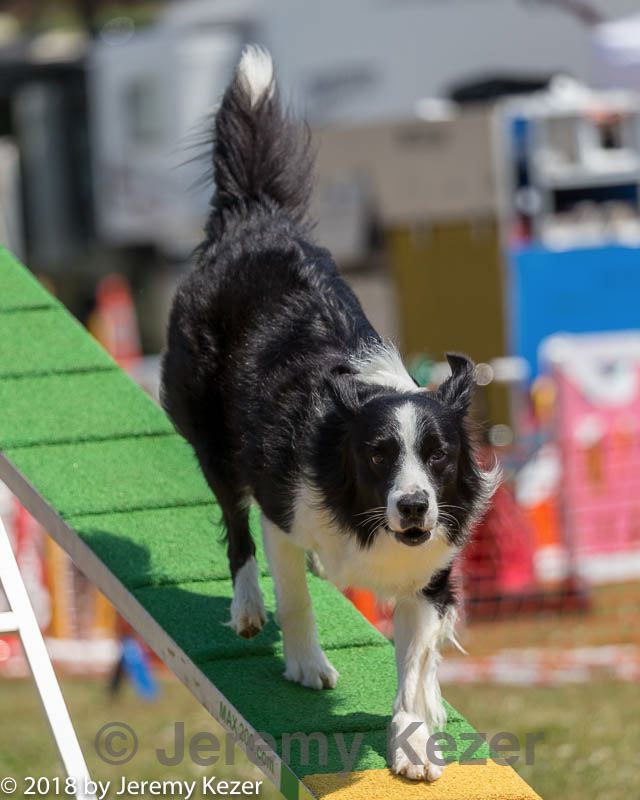 20180617-1453.jpg