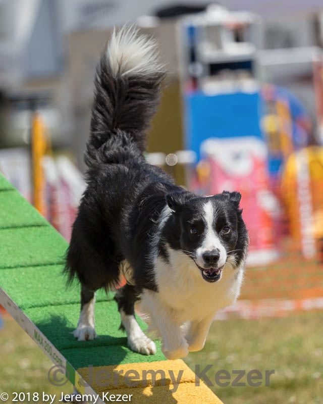 20180617-1454.jpg