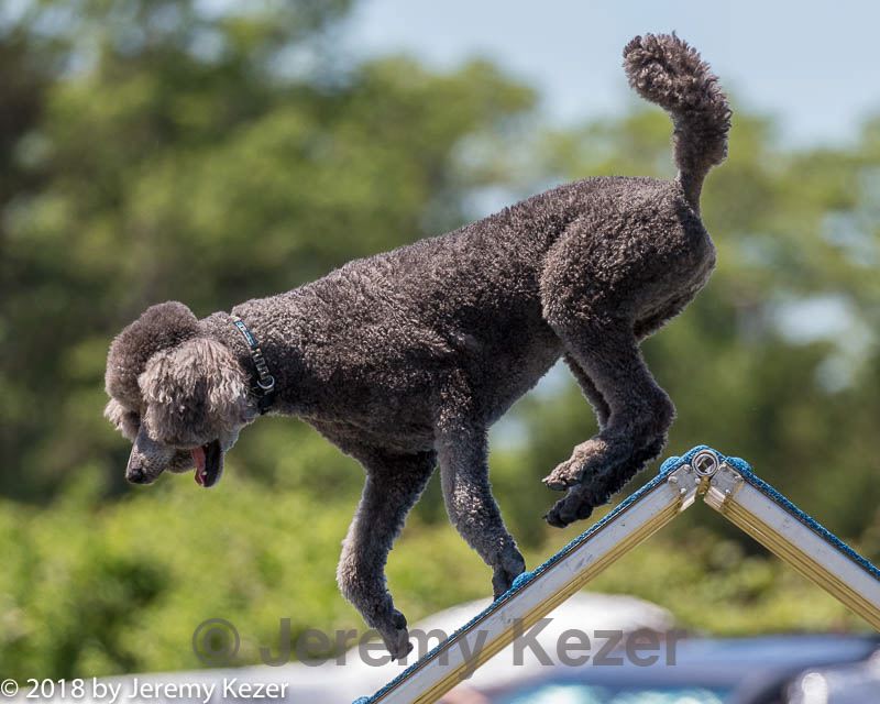 20180617-0842.jpg