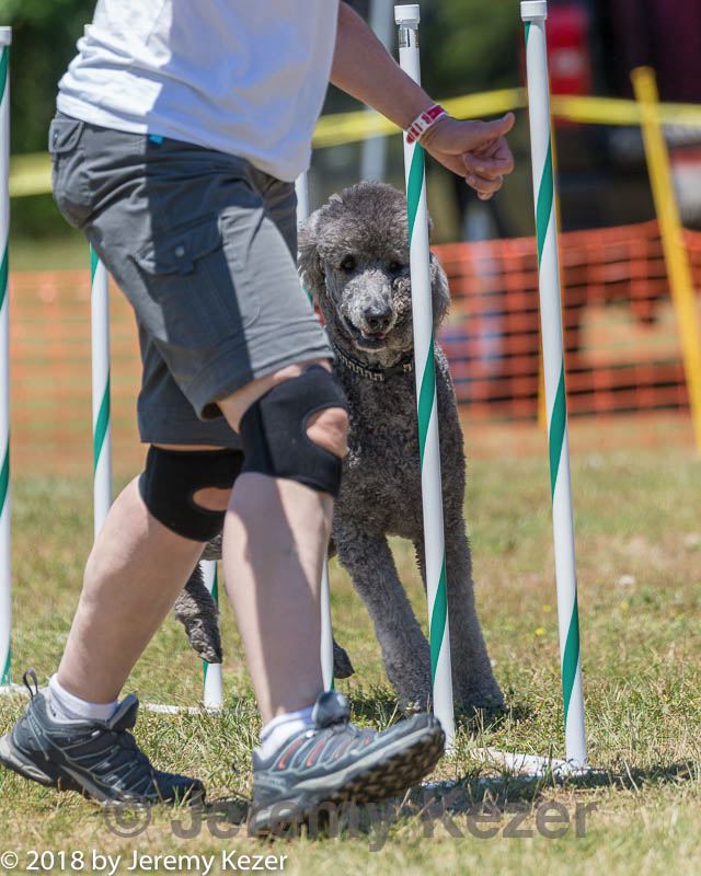 20180617-0866.jpg