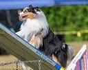 20180617-0107