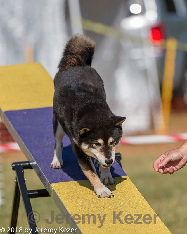 20180617-0092.jpg