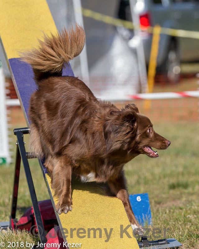 20180617-0225.jpg
