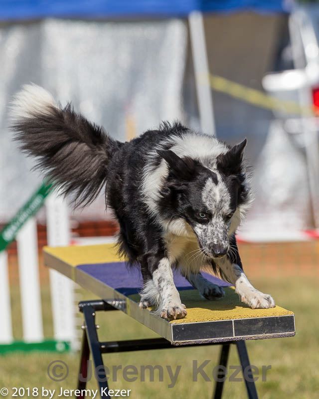 20180617-0279.jpg