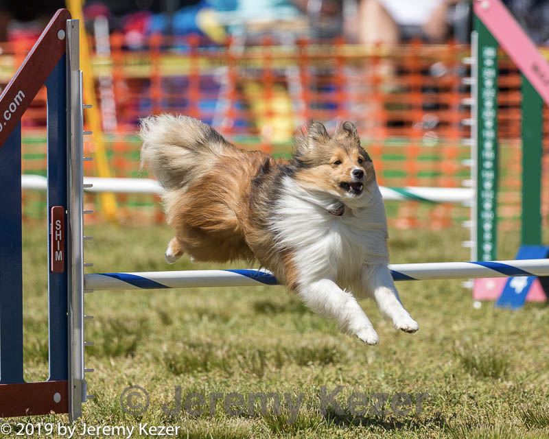 20190615-cckc-1264.jpg