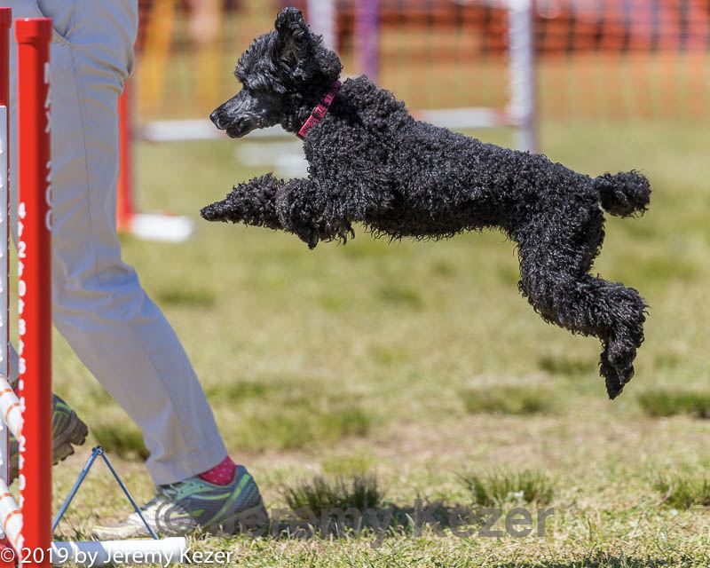 20190615-cckc-1280.jpg