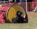 20190615-cckc-1184