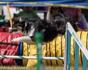 20190615-cckc-1225