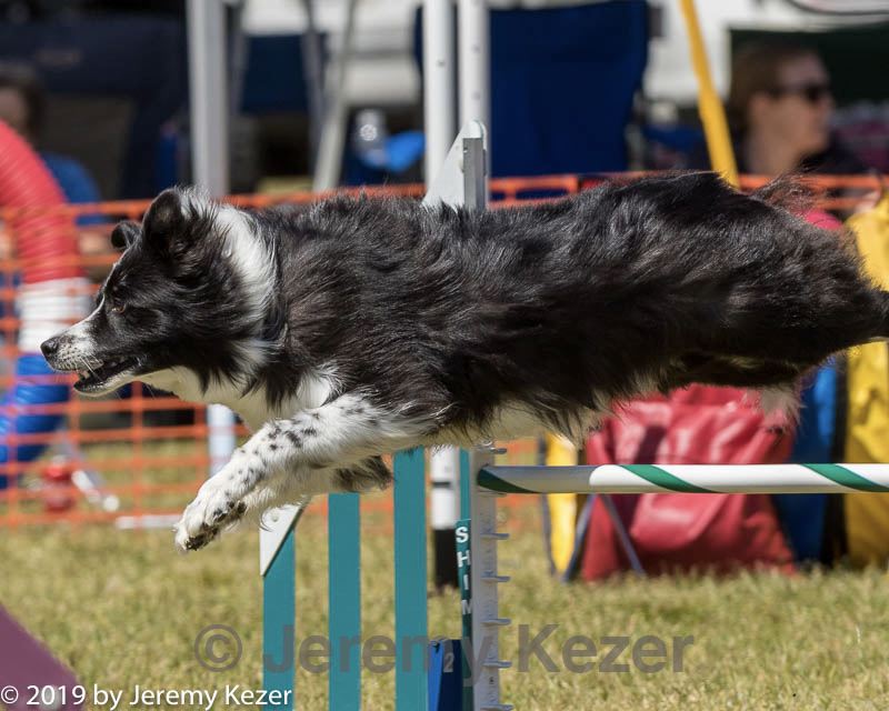20190615-cckc-1145.jpg