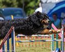 20190615-cckc-0923