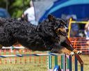 20190615-cckc-0924