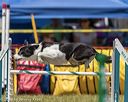 20190615-cckc-0945