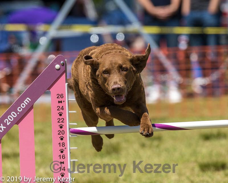 20190615-cckc-1002.jpg