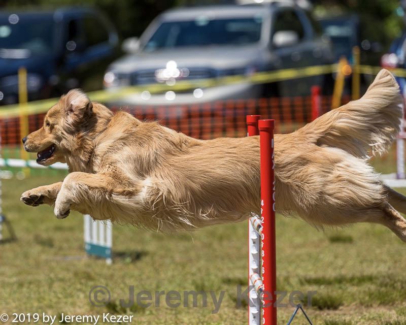 20190615-cckc-1069.jpg