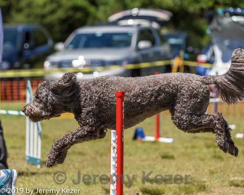20190615-cckc-1083.jpg