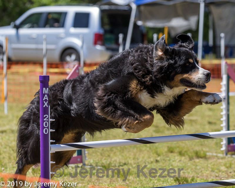 20190615-cckc-1093.jpg