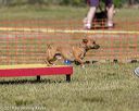 20190615-cckc-0394