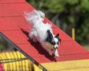 20190615-cckc-0443