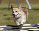 20190615-cckc-0461