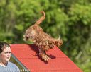 20190615-cckc-0282