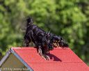 20190615-cckc-0295