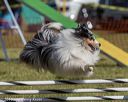 20190615-cckc-0356