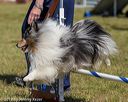 20190615-cckc-0359