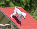 20190615-cckc-0198