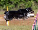 20190615-cckc-0263