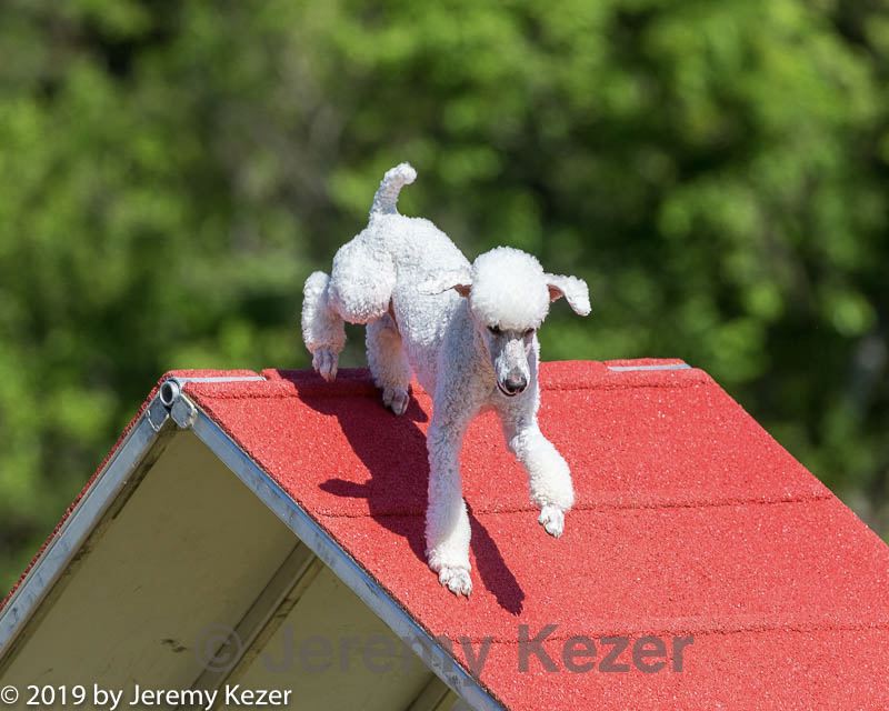 20190615-cckc-0196.jpg