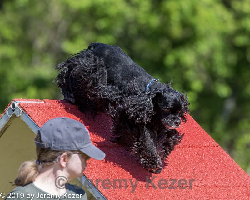20190615-cckc-0222.jpg