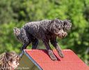 20190615-cckc-0007