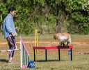 20190615-cckc-0024