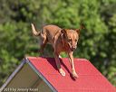 20190615-cckc-0116