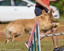 20190615-cckc-0141