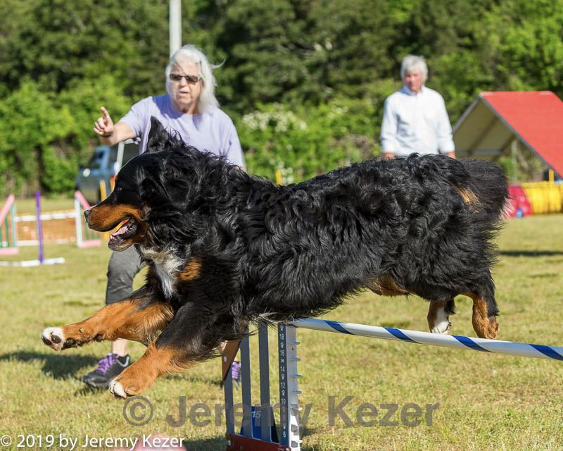 20190615-cckc-0020.jpg