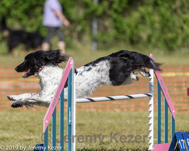 20190615-cckc-0049.jpg
