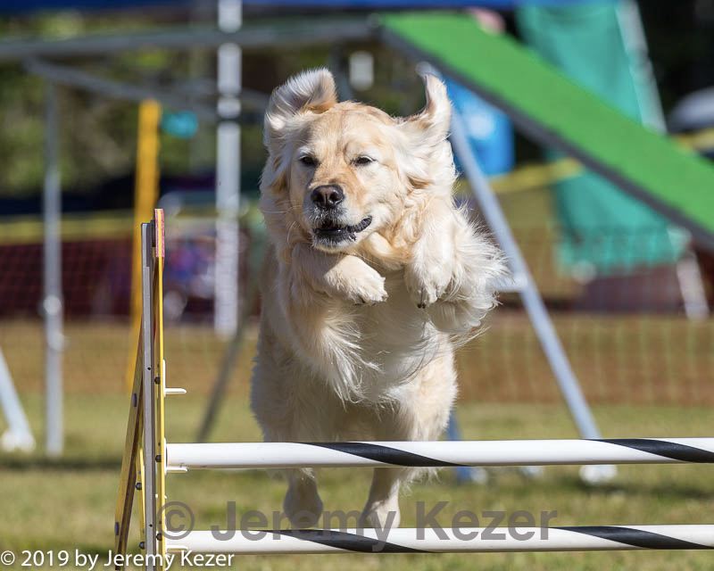 20190615-cckc-0065.jpg