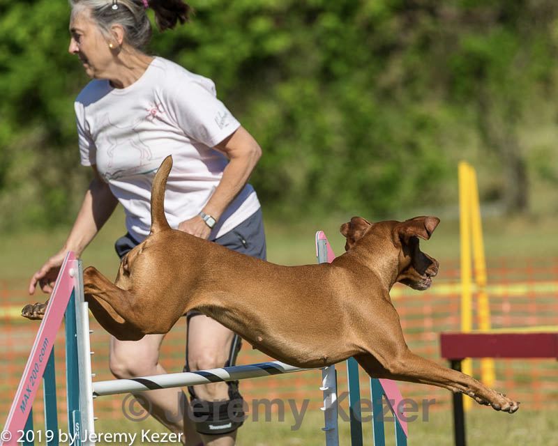 20190615-cckc-0077.jpg