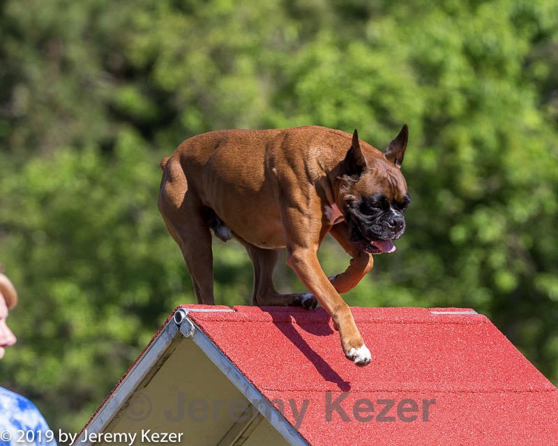 20190615-cckc-0097.jpg
