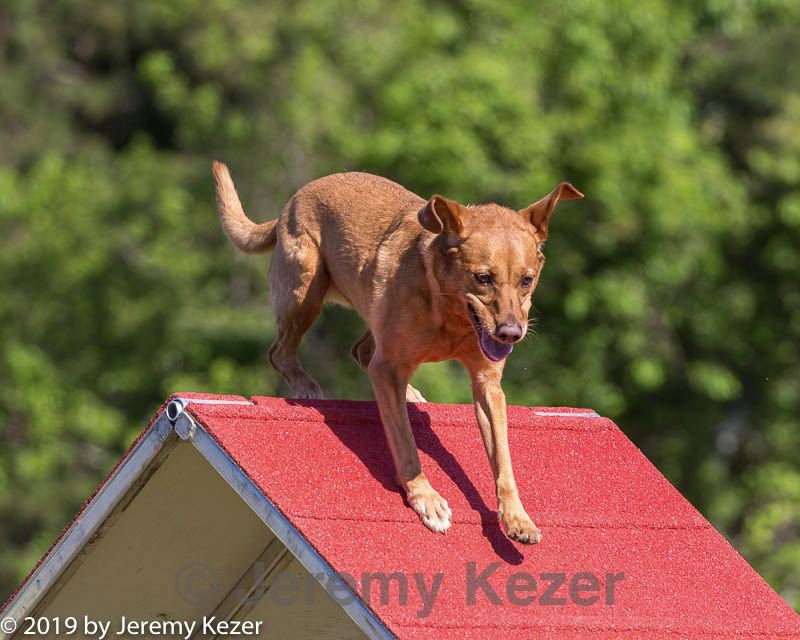 20190615-cckc-0116.jpg
