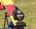 20190615-cckc-0814
