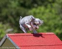 20190615-cckc-0781