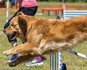 20190615-cckc-0768