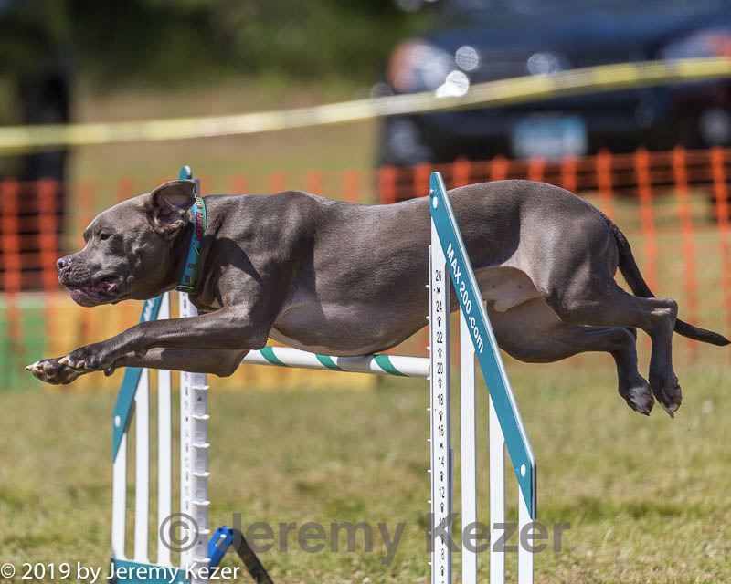 20190615-cckc-1444.jpg
