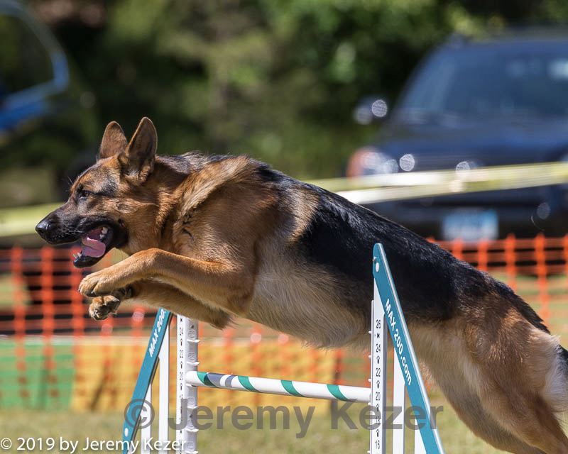 20190615-cckc-1470.jpg