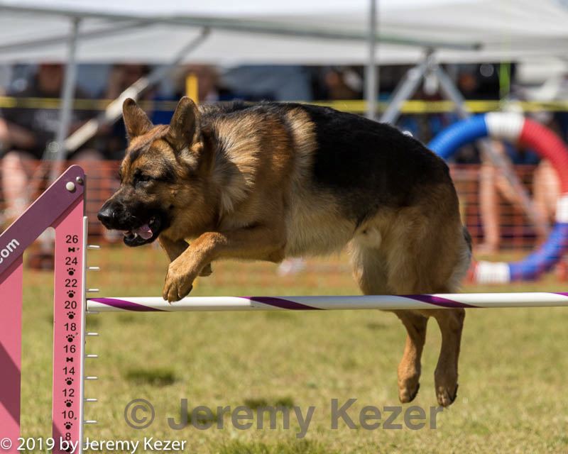 20190615-cckc-1477.jpg
