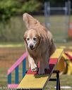 20190615-cckc-0579