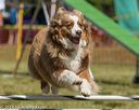 20190615-cckc-0589